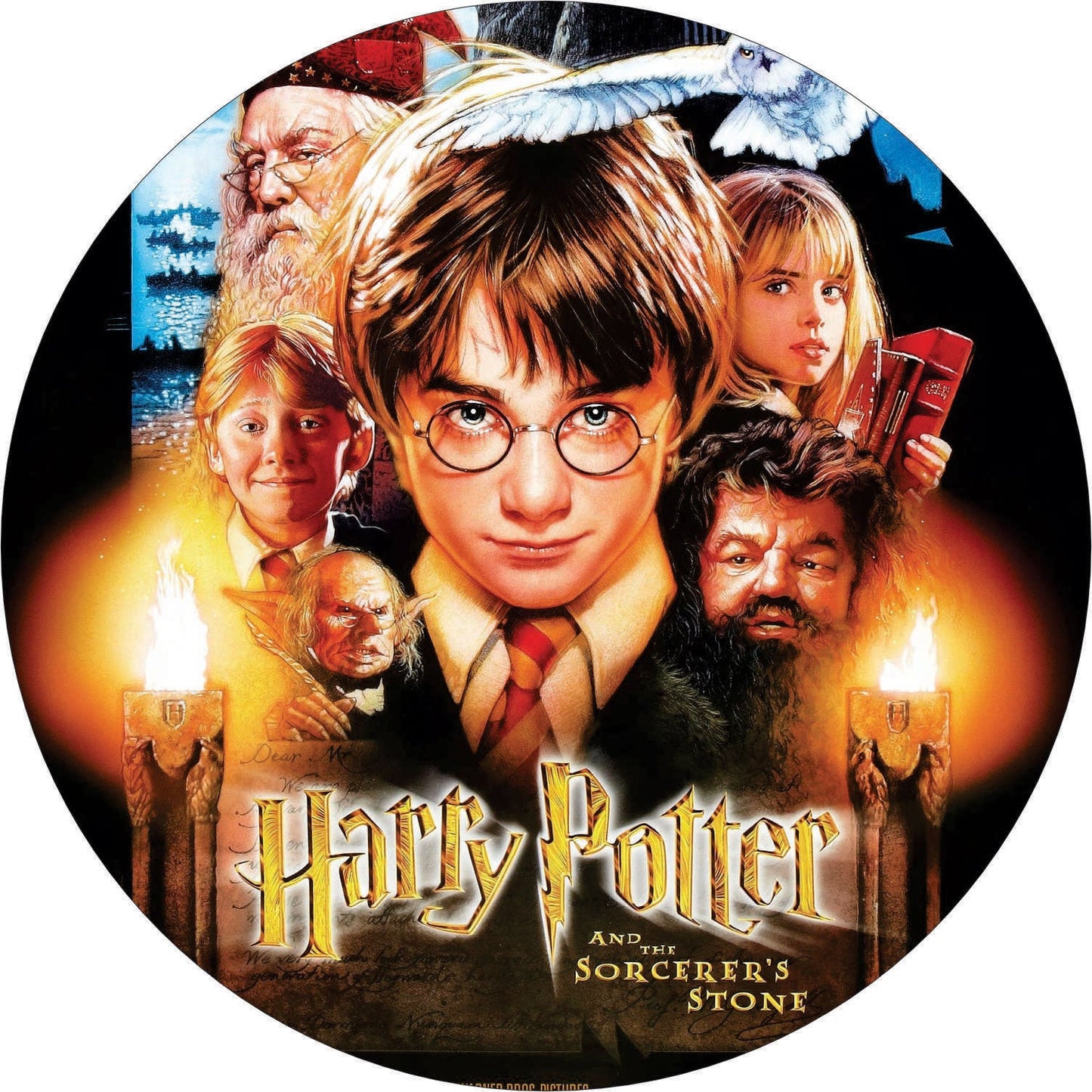 079-Single-sided illuminated sign - Harry Potter
